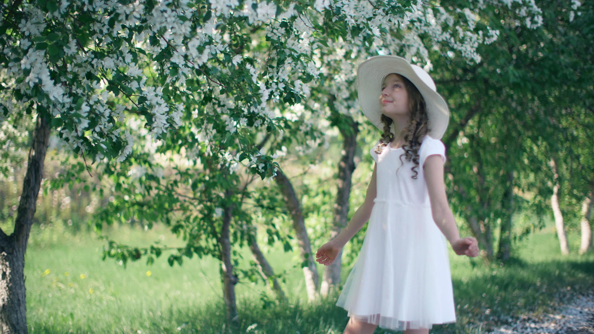 站在盛开的春树下白日梦中的年轻女孩视频的预览图