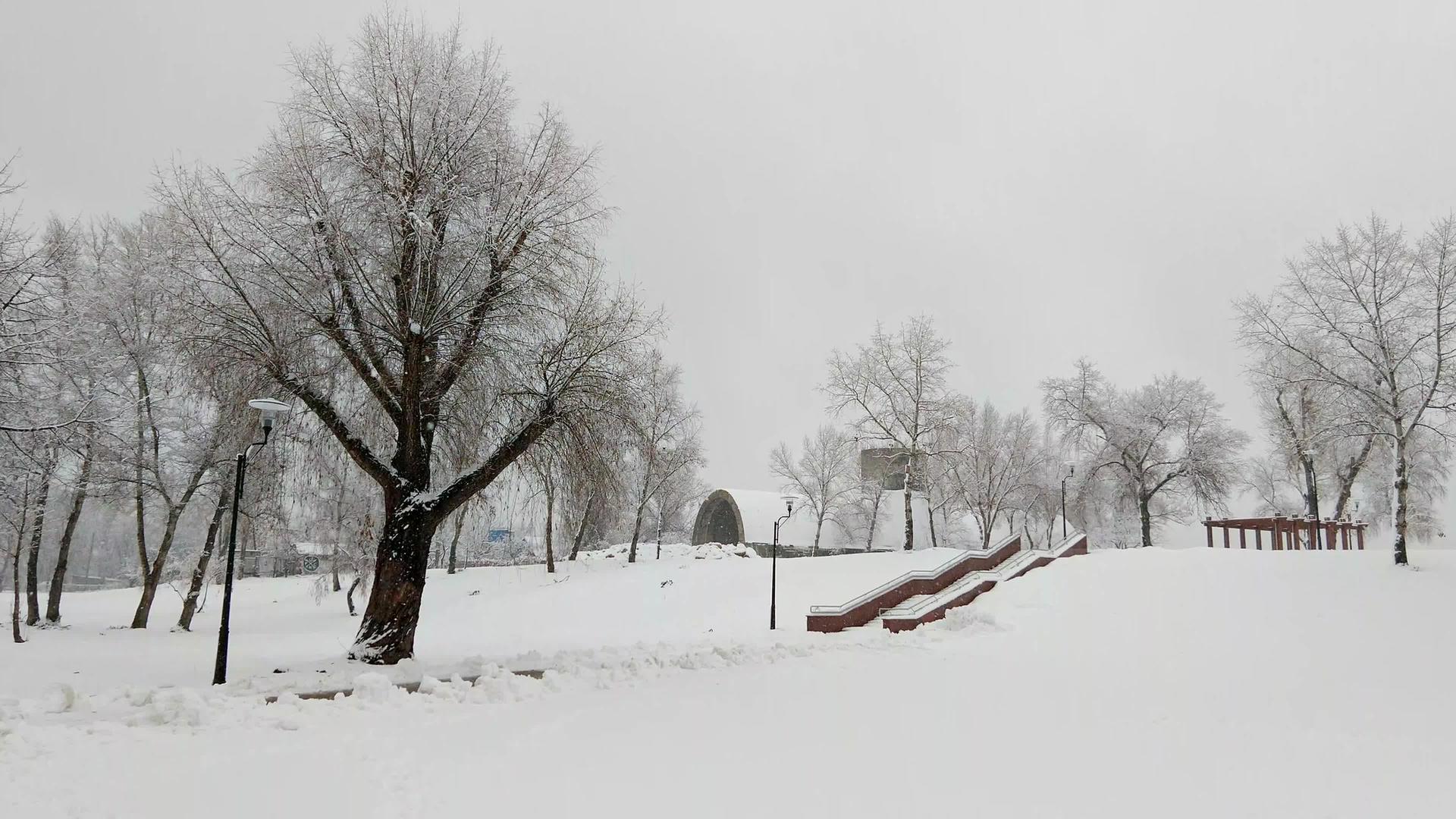 雪下Kiev纳塔卡公园视频的预览图