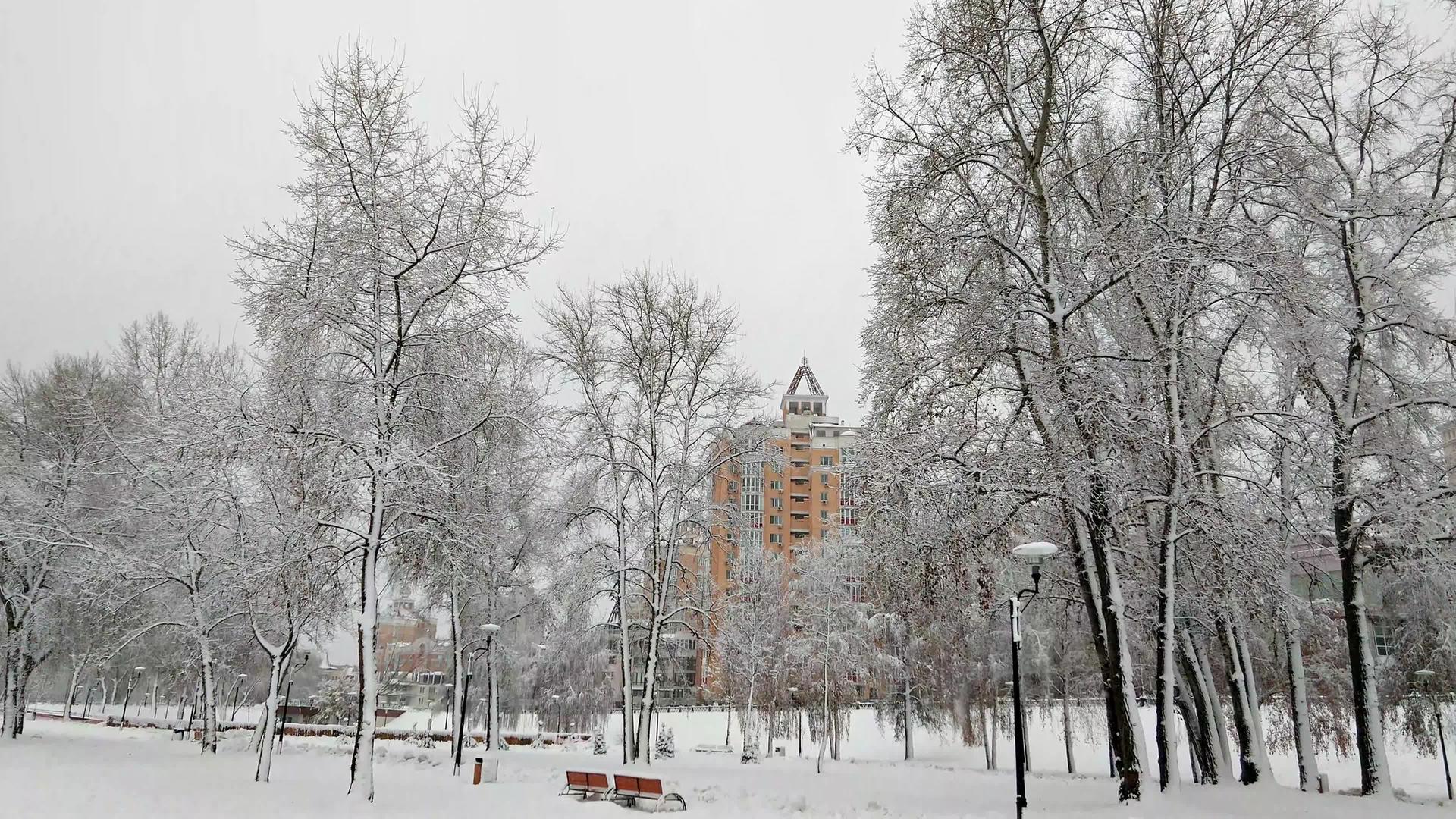 库伊夫乌黑纳塔卡公园被雪覆盖视频的预览图