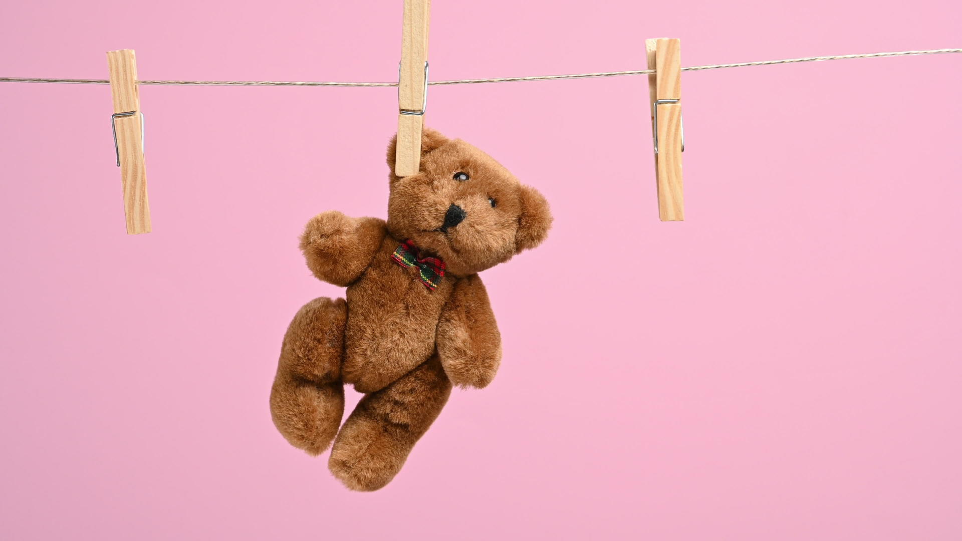 一只棕色的小泰迪熊耳朵后面的绳子上挂着一只女性手的粉红色视频的预览图