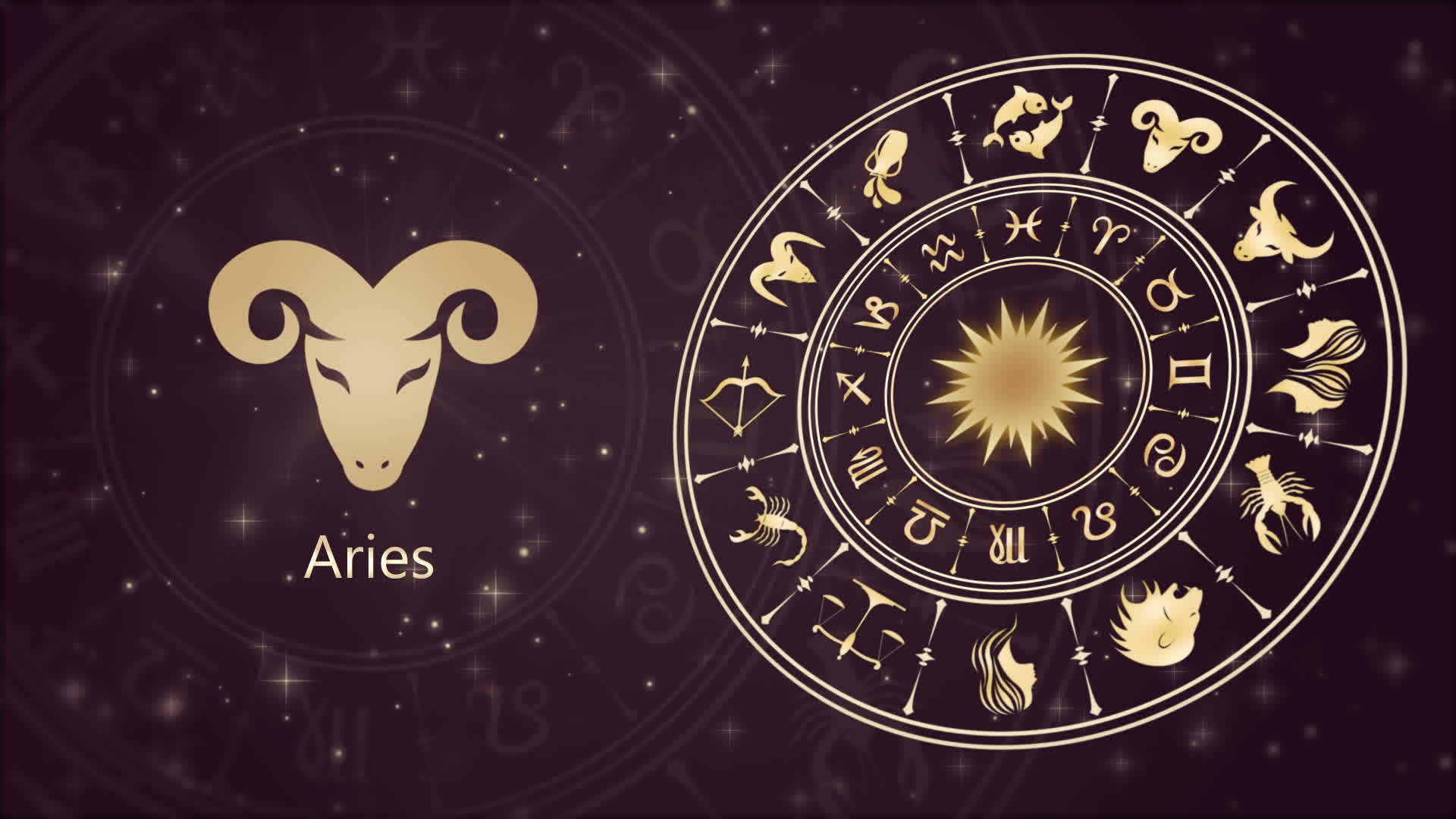 黄道菌在Aries在星轮上签名视频的预览图