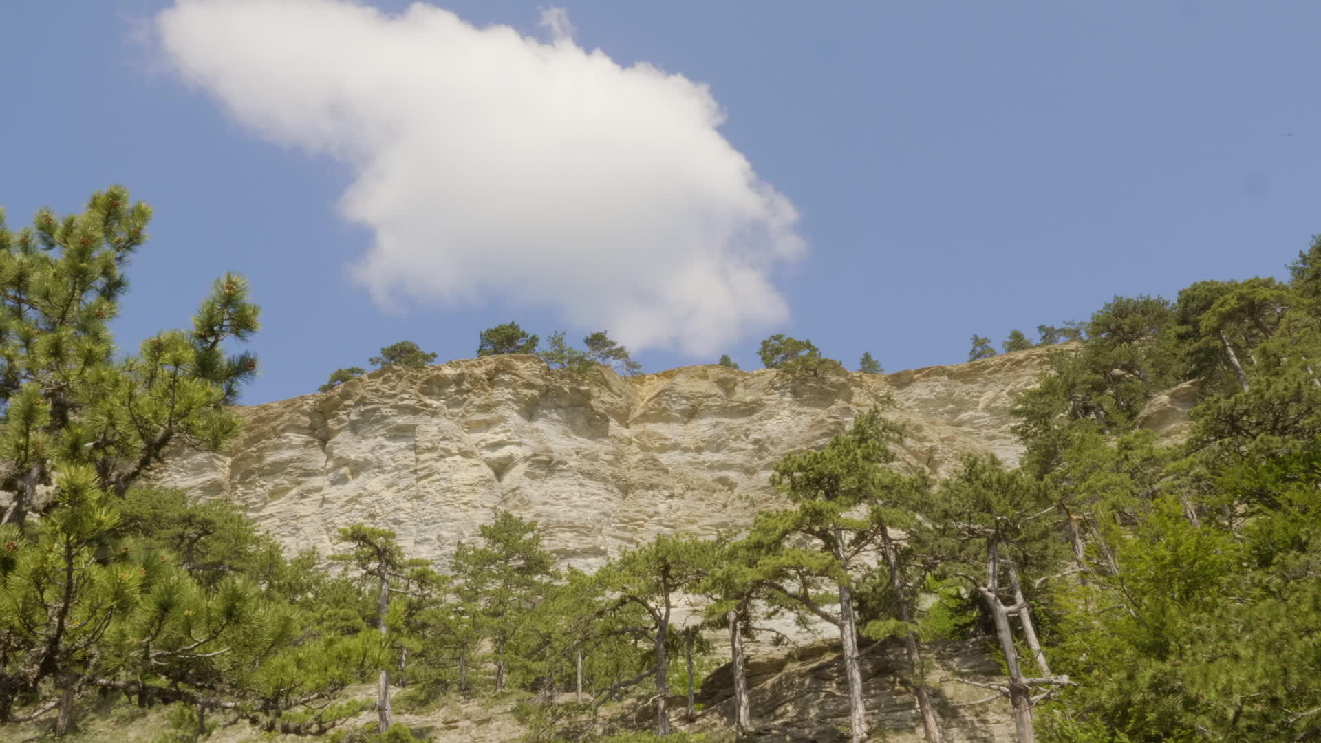在高山和夏天树木上阳光明媚的蓝天和云朵的景色显示在高山和高山上视频的预览图