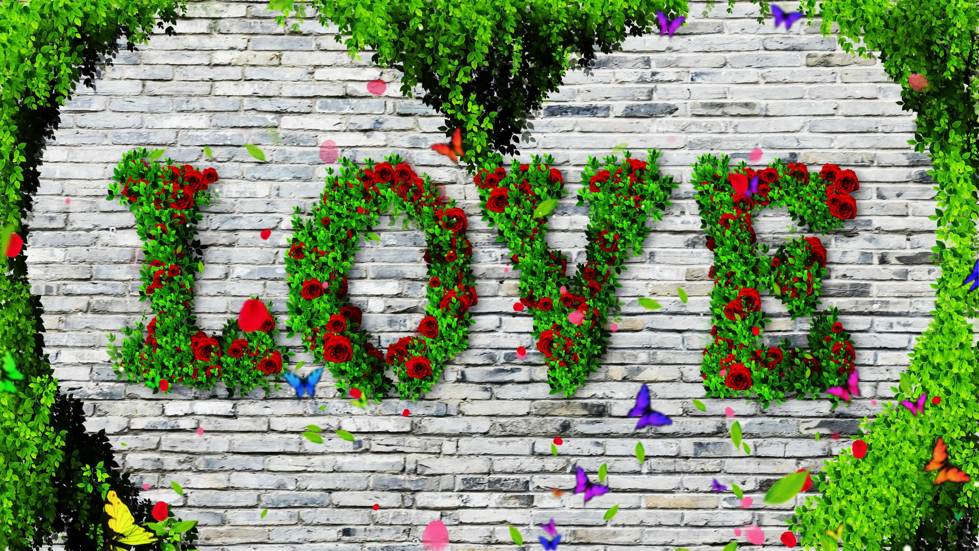 4K唯美的爱情鲜花背景墙素材视频的预览图
