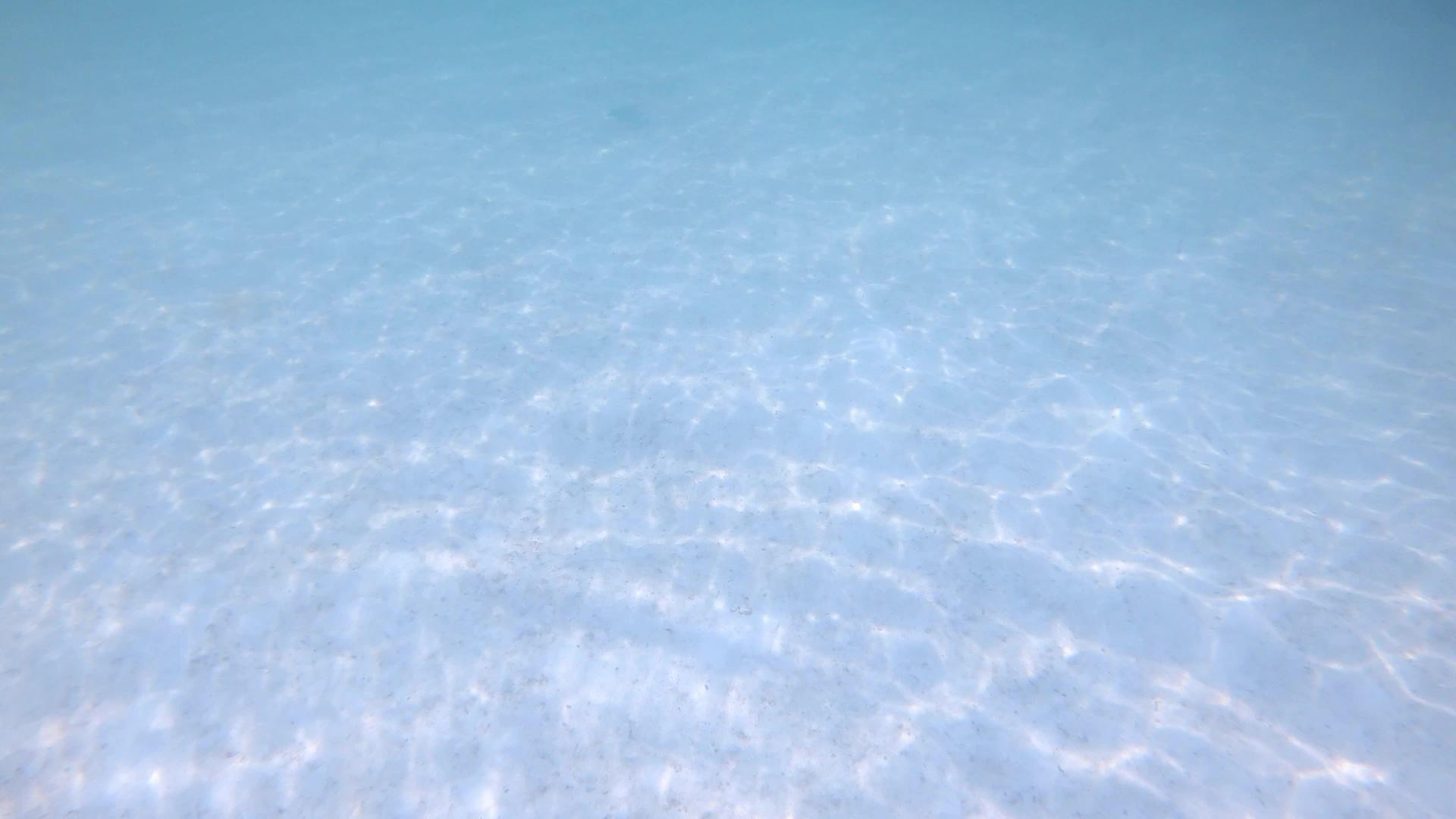 许多小鱼在明海中游泳有沙地和反射面视频的预览图