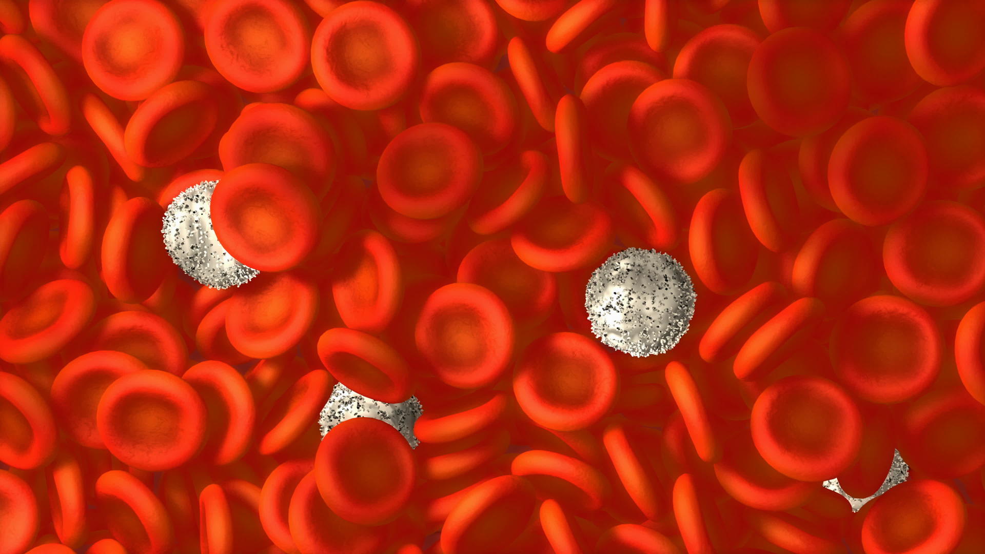 血细胞3d动画视频的预览图