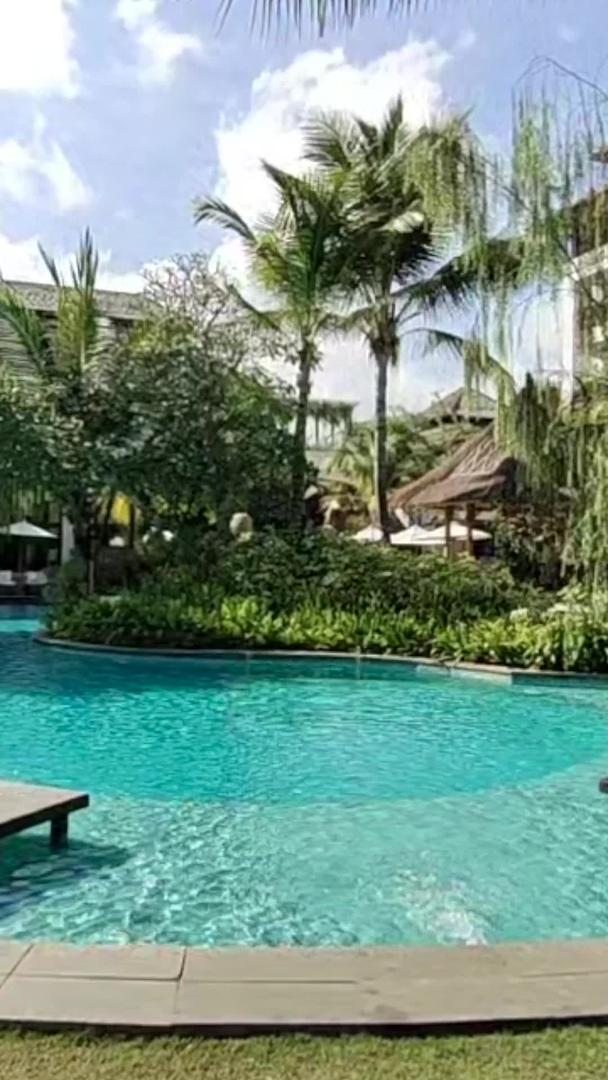 巴厘岛酒店游泳池视频的预览图