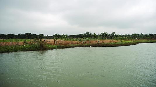 拜特南农民在河岸上收获视频的预览图