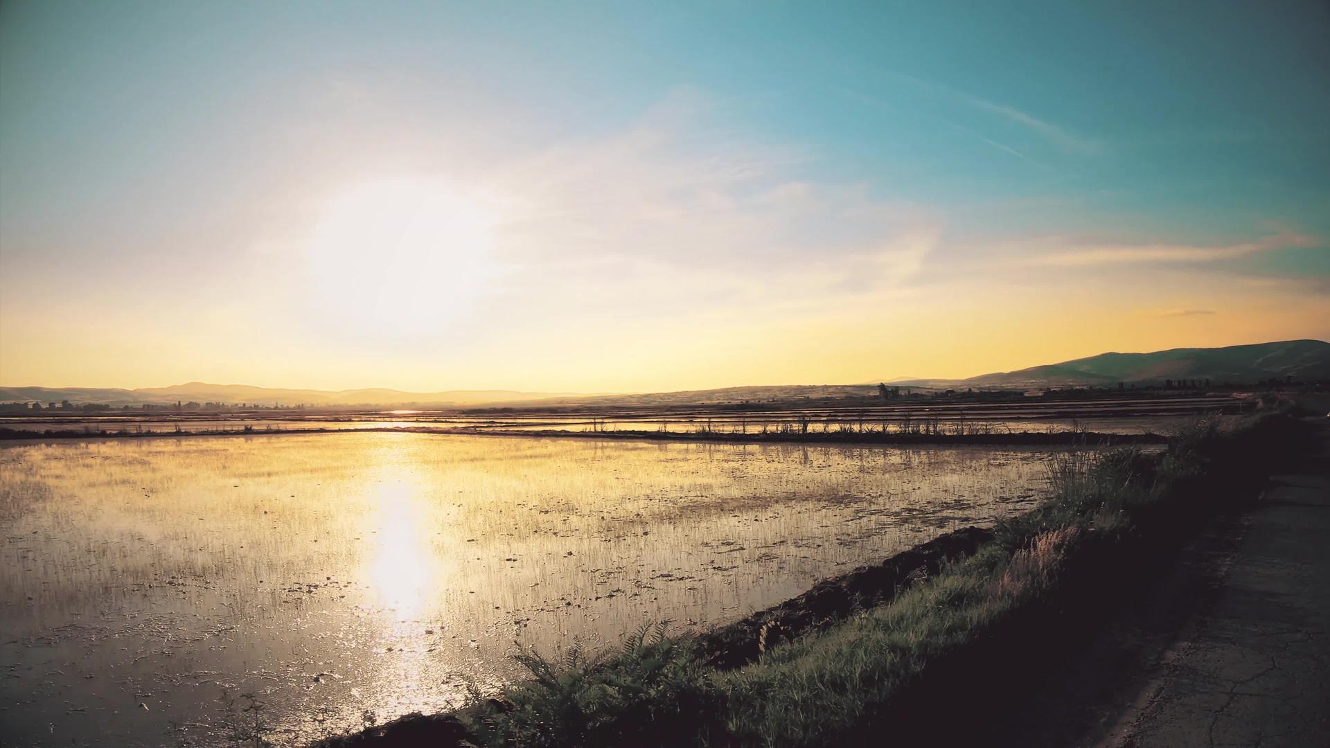 日落时在稻田里开农村路视频的预览图