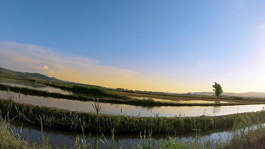日出日落时沿着稻田进入田野野里充满了水视频的预览图