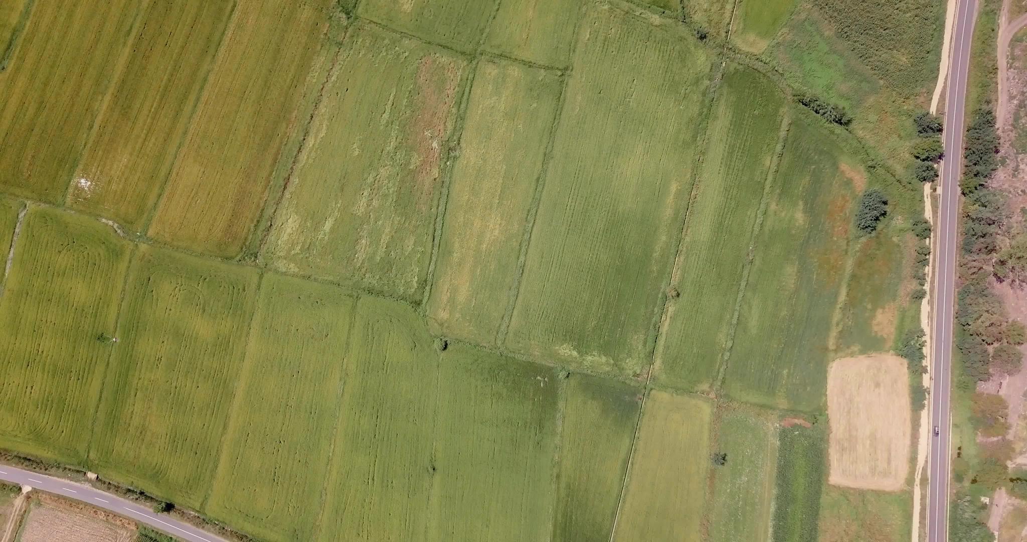 观察稻田和它们之间道路的空气视频的预览图