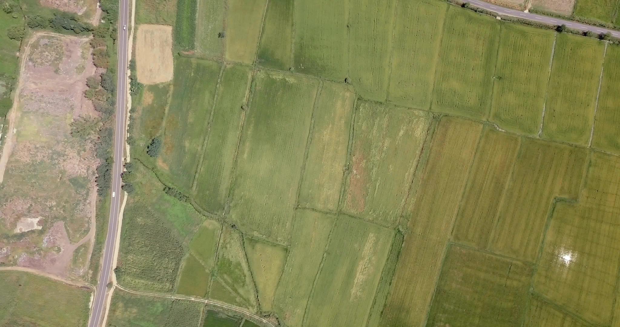 水稻田与公路的空气视线分开视频的预览图