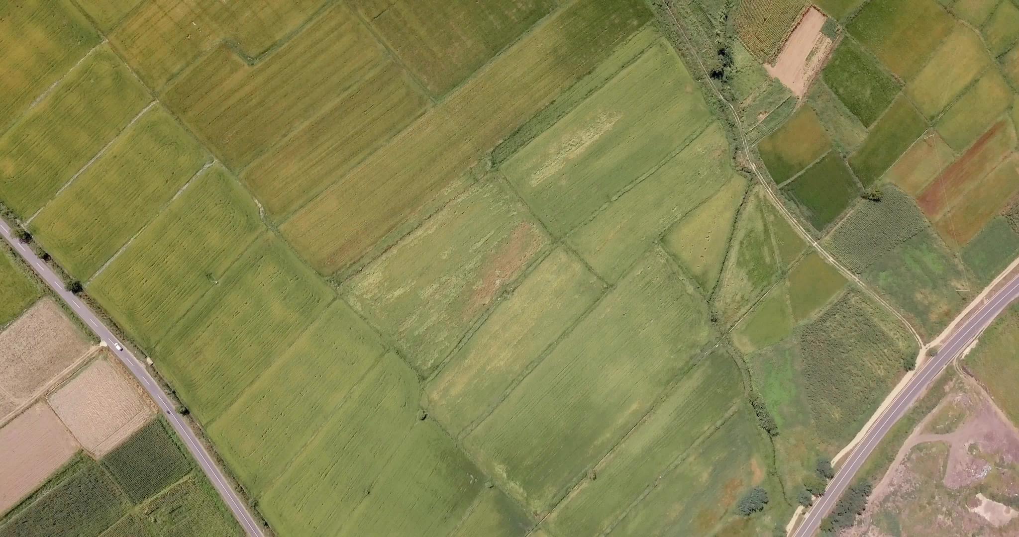 稻田模式在夏季从无人驾驶飞机的空中观察到视频的预览图