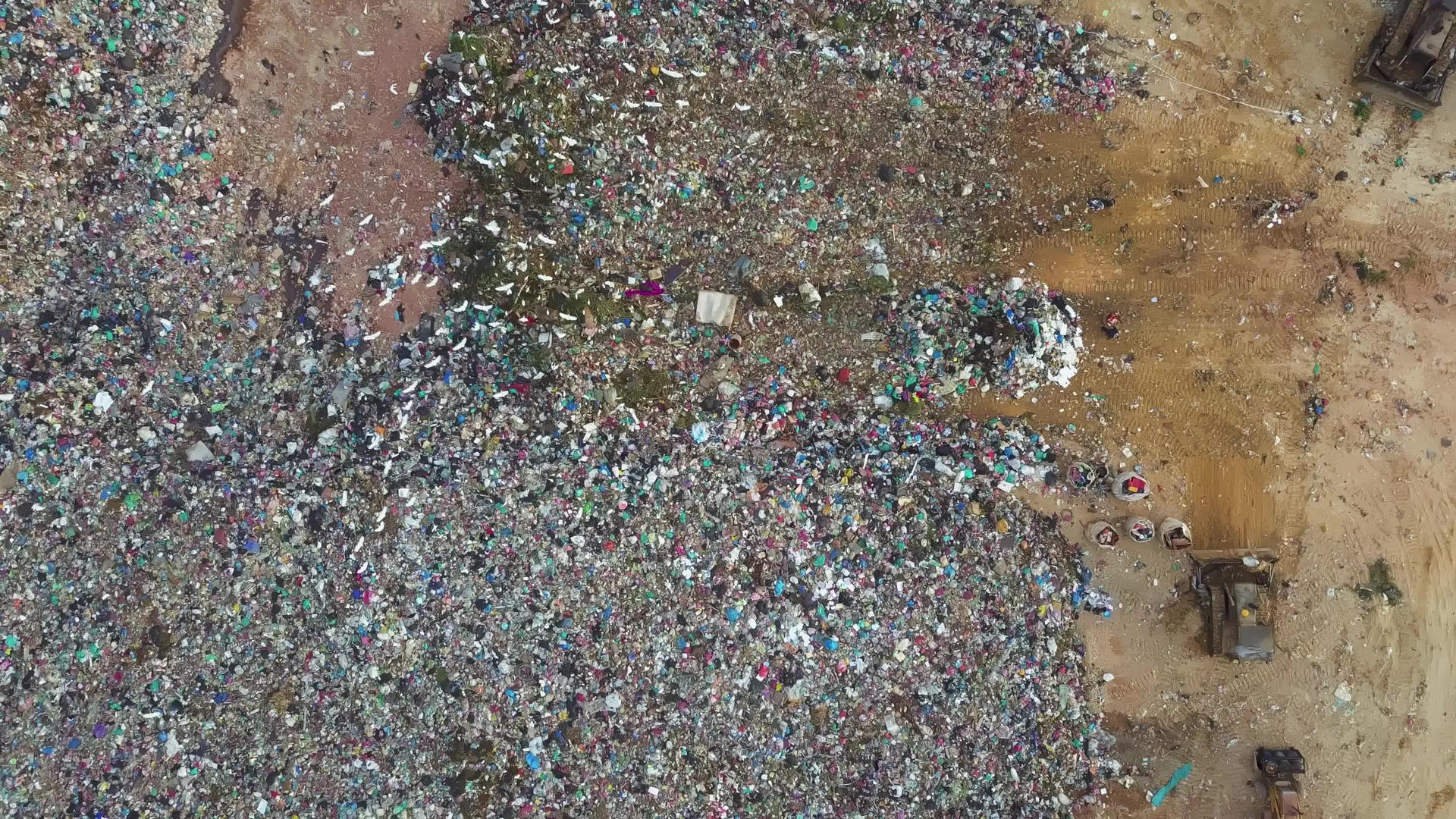 白食鸟苍蝇在垃圾填埋场寻找食物视频的预览图