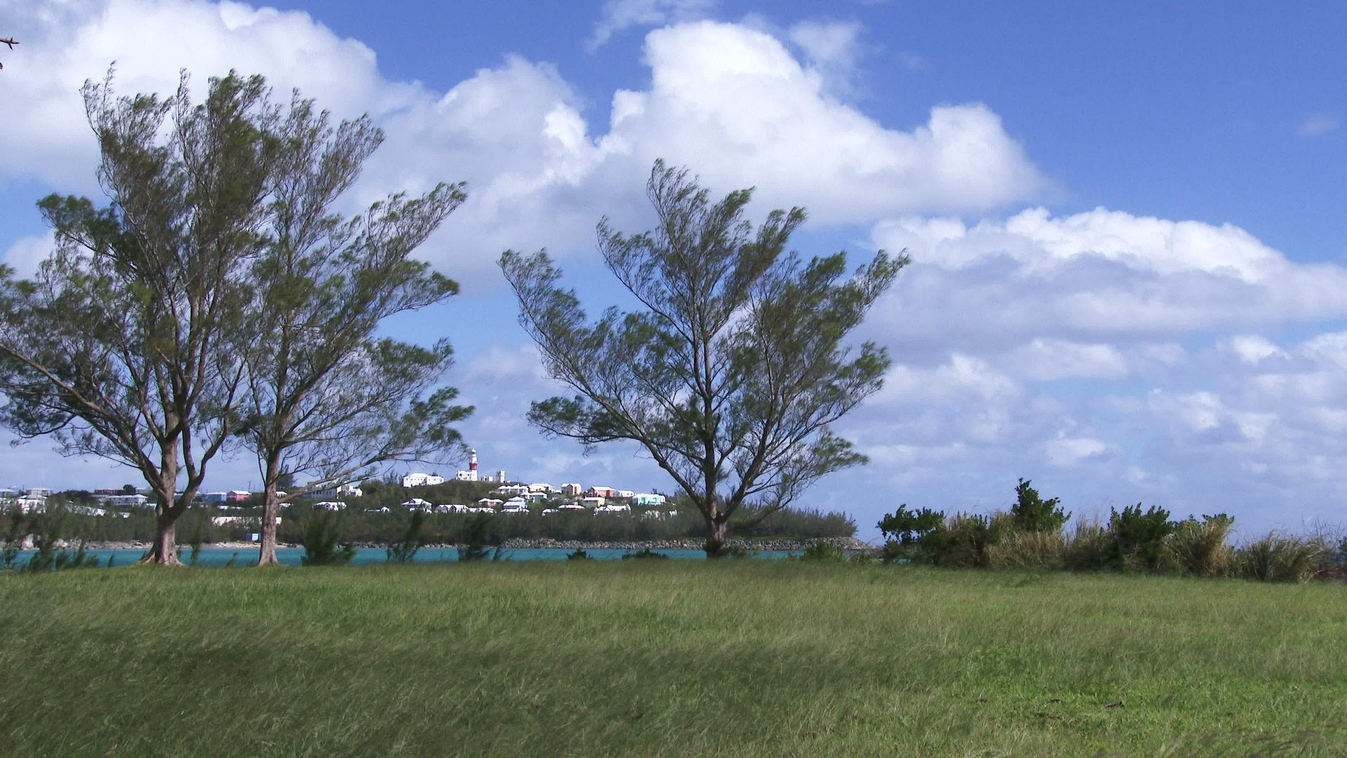全景观察护堤区风天的草地和海洋前景视频的预览图