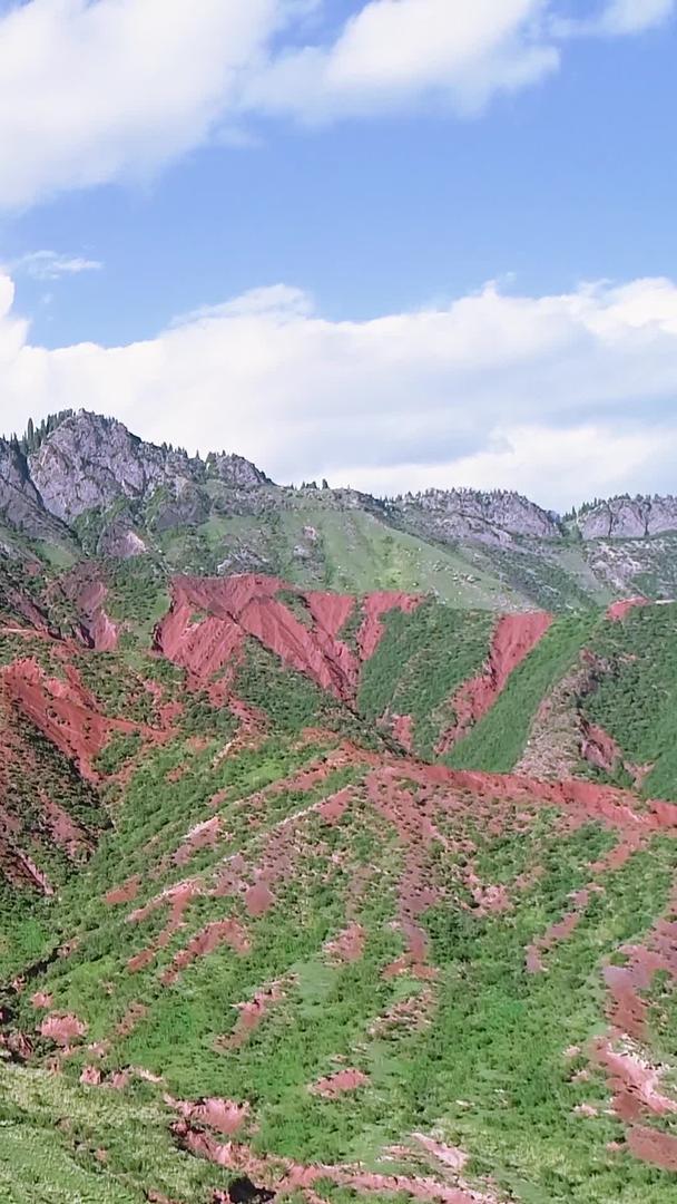 航拍在新疆天山脚下视频的预览图
