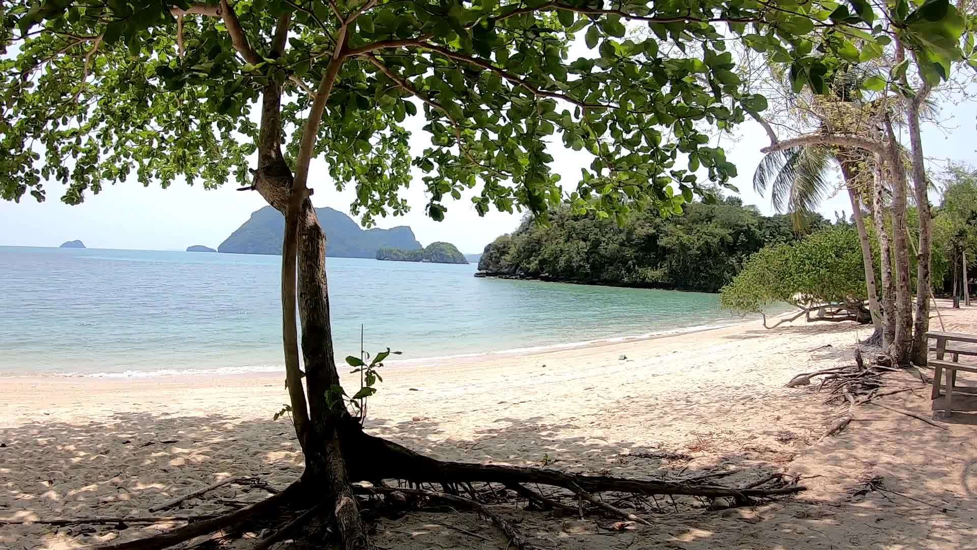 这部电影从海滩的右向左移动到海湾的背景海和岛口的库拉岛Chumphon视频的预览图