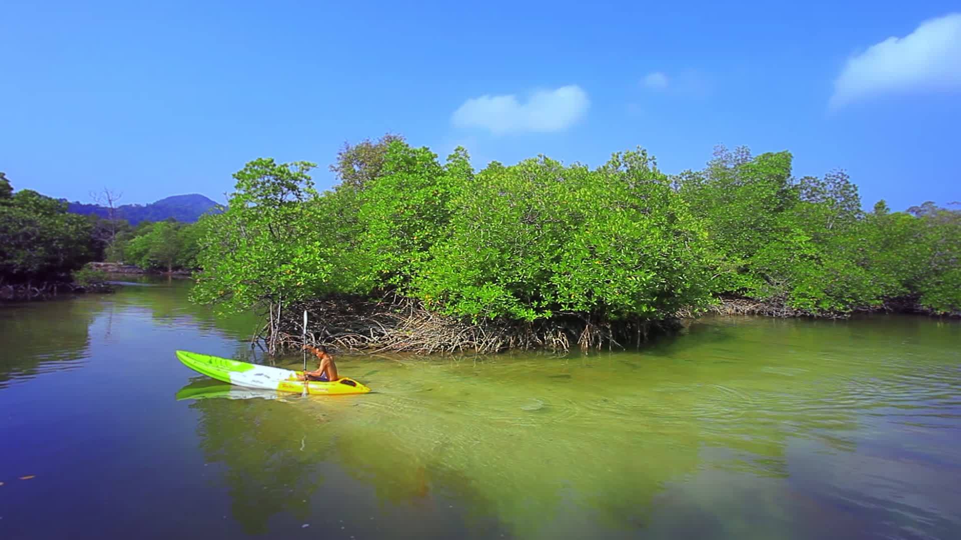亚洲运动员在热带红树林河中航行海上皮艇视频的预览图
