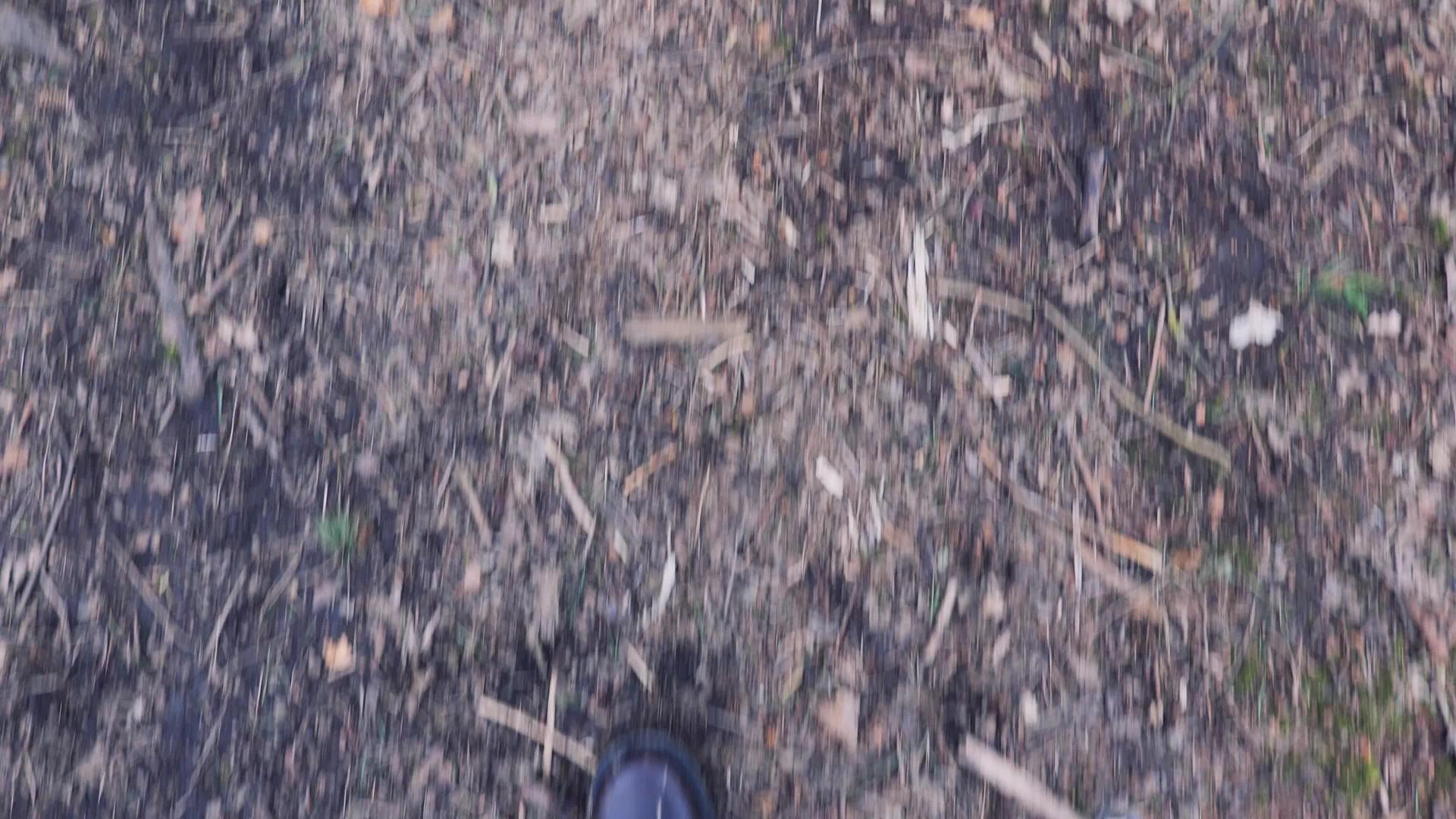 一对腿在林地小径上行走视频的预览图