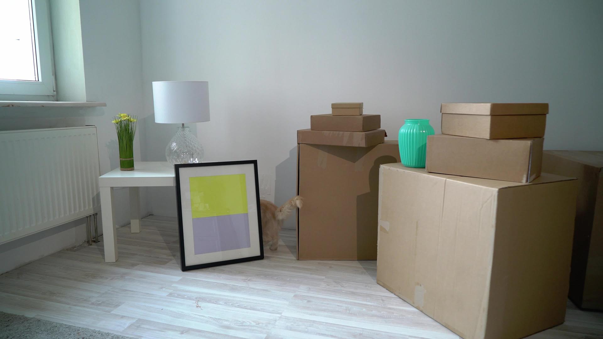 搬家或搬到新的住宅公寓或办公室的纸板箱视频的预览图