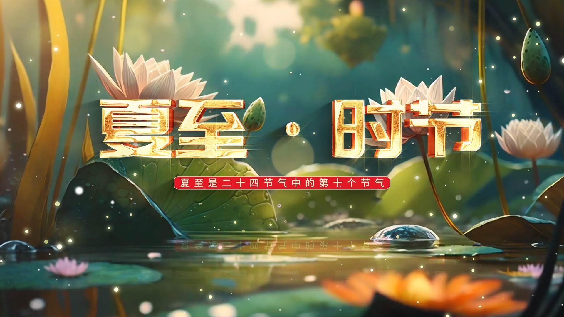二十四节气夏至动画片头AE模版视频的预览图