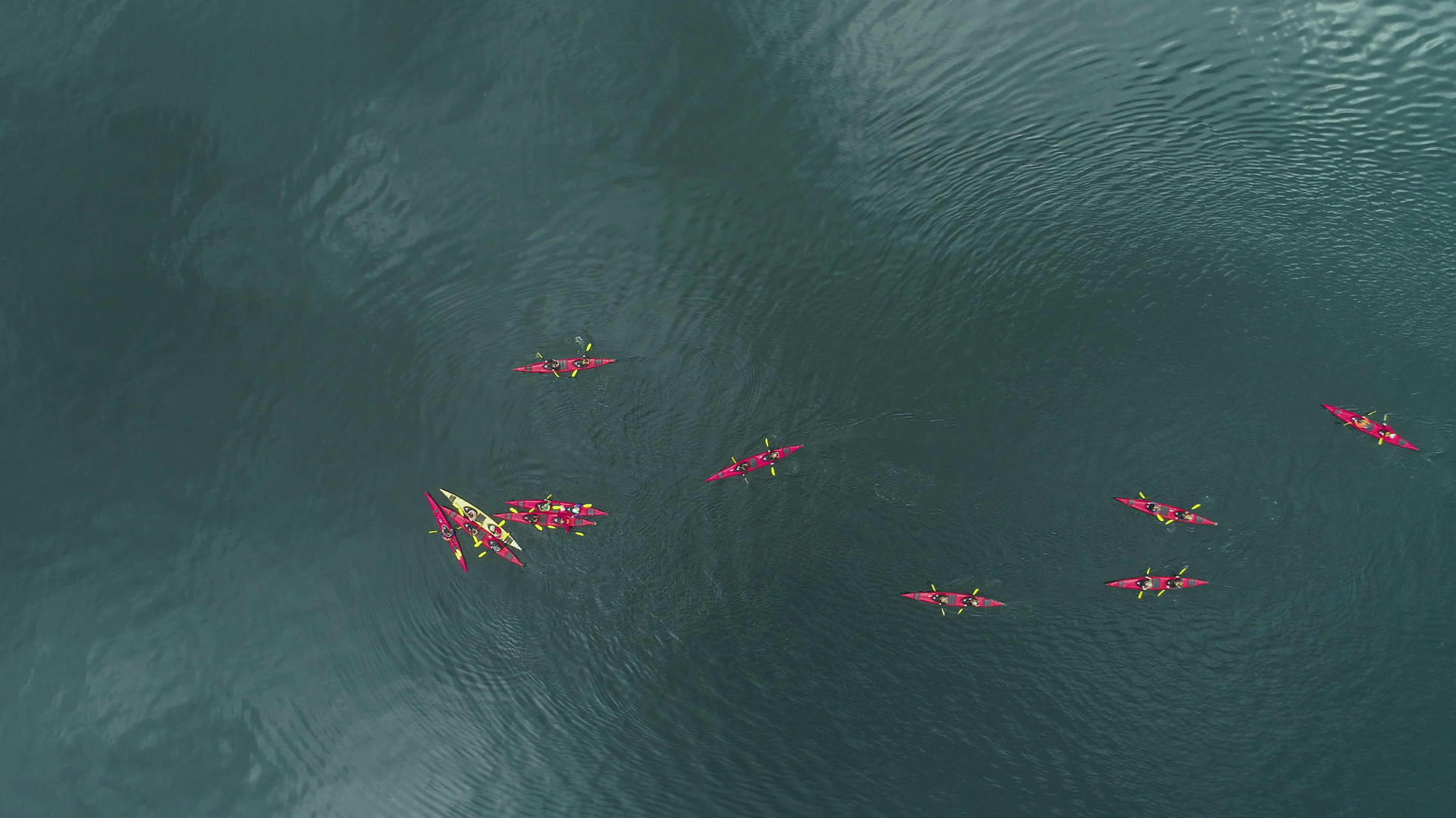 北环绿鸟湾松绿水中的几组皮艇从上到下垂直于空中视频的预览图
