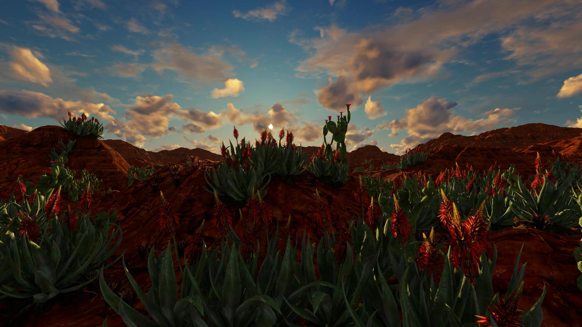 仙人掌植物在沙漠景观中有红花视频的预览图