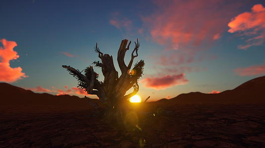 日落时在沙漠中枯树黑鹰直升机穿过沙漠视频的预览图
