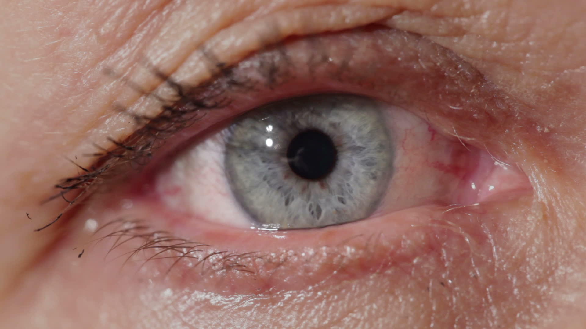 蓝眼睛的中年妇女视频的预览图