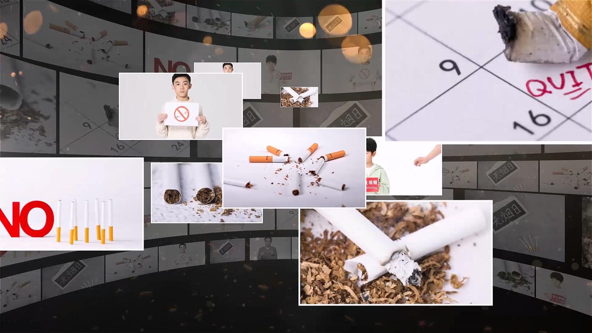 AE模版世界无烟日图文宣传展示视频的预览图