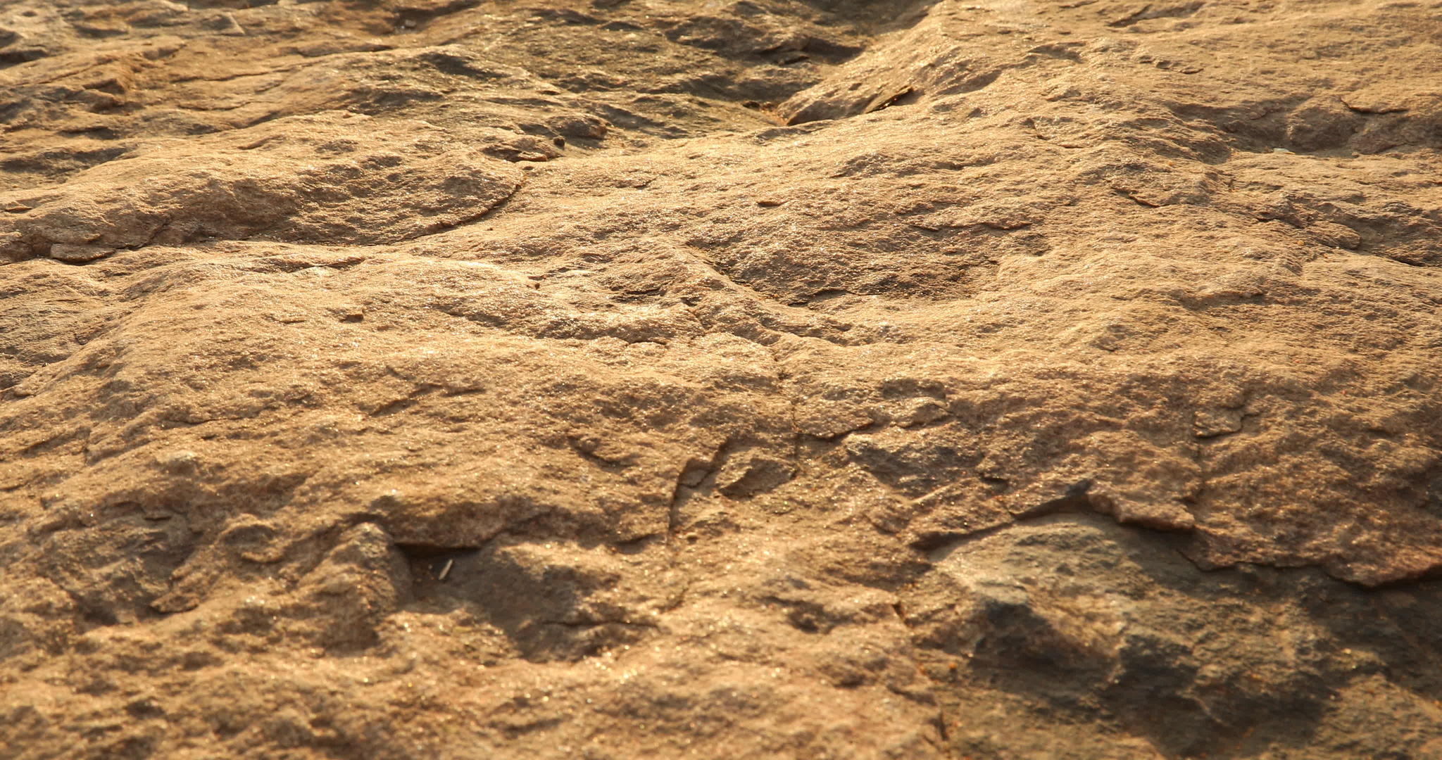 原石质视频的预览图