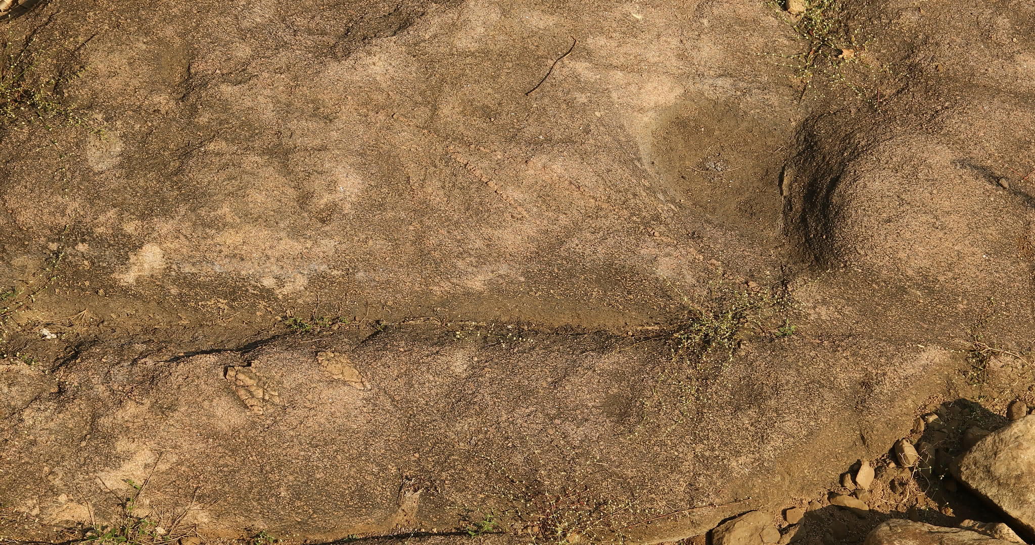 密封原始石图视频的预览图