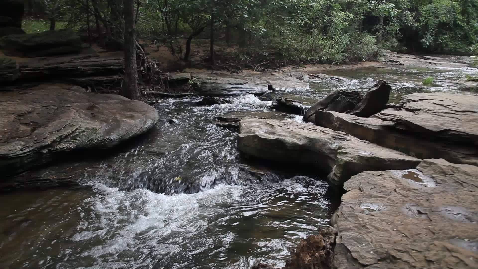 石溪公园位于花丘视频的预览图