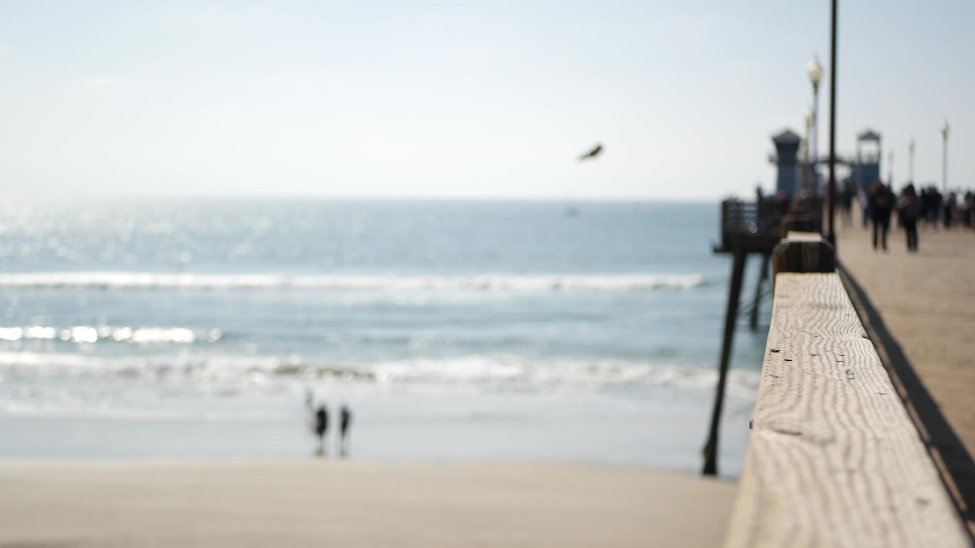 滨水加州海滨usa分散的海浪人们走路视频的预览图