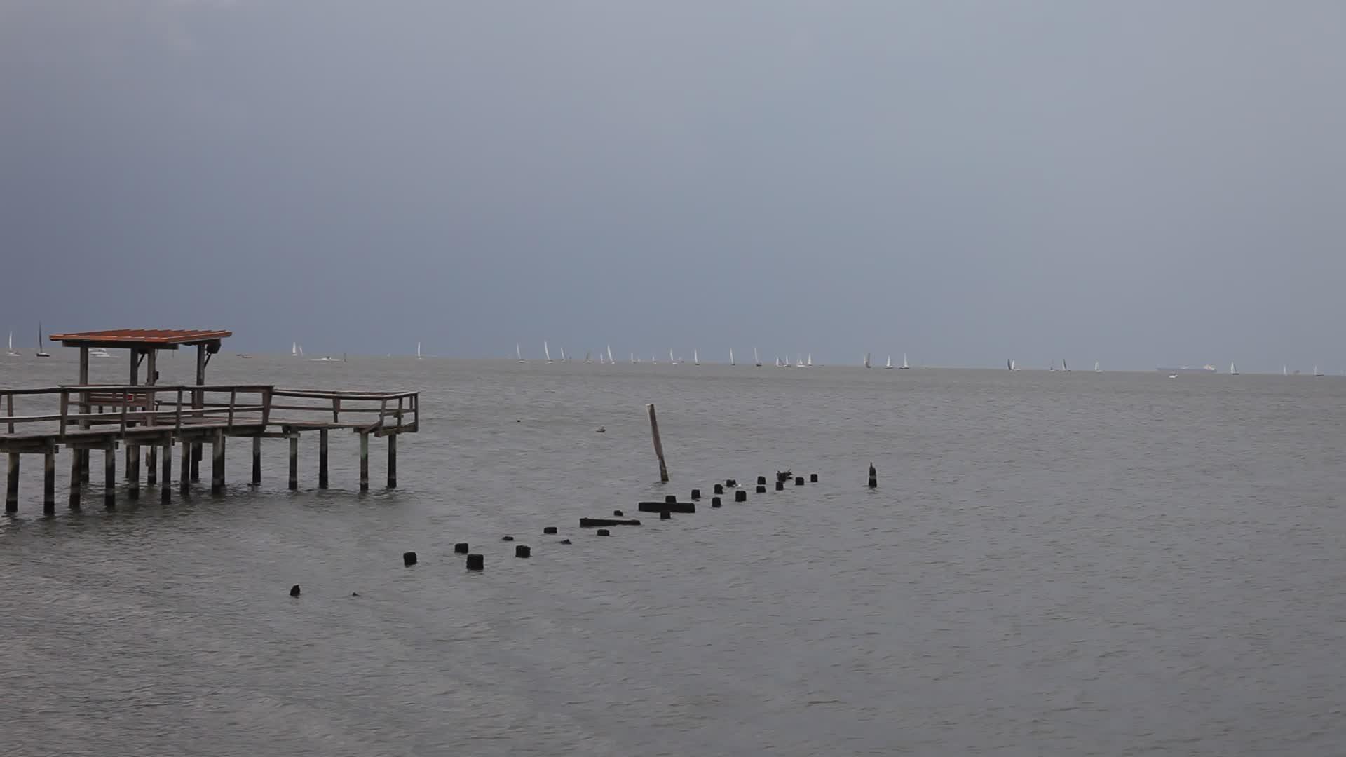 在海边的码头上视频的预览图