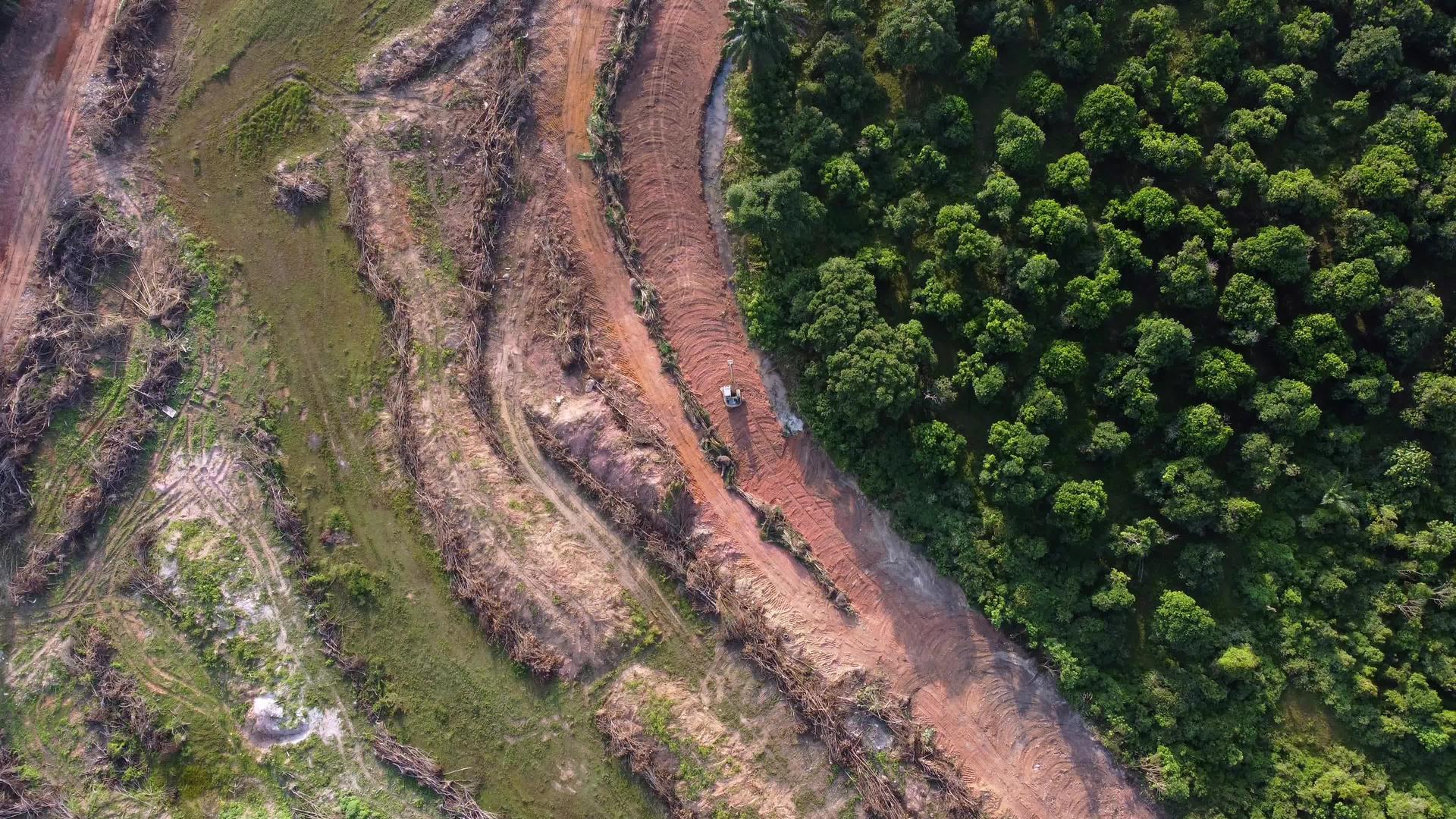 挖掘机在陆地清洁区移动后的空中视图视频的预览图