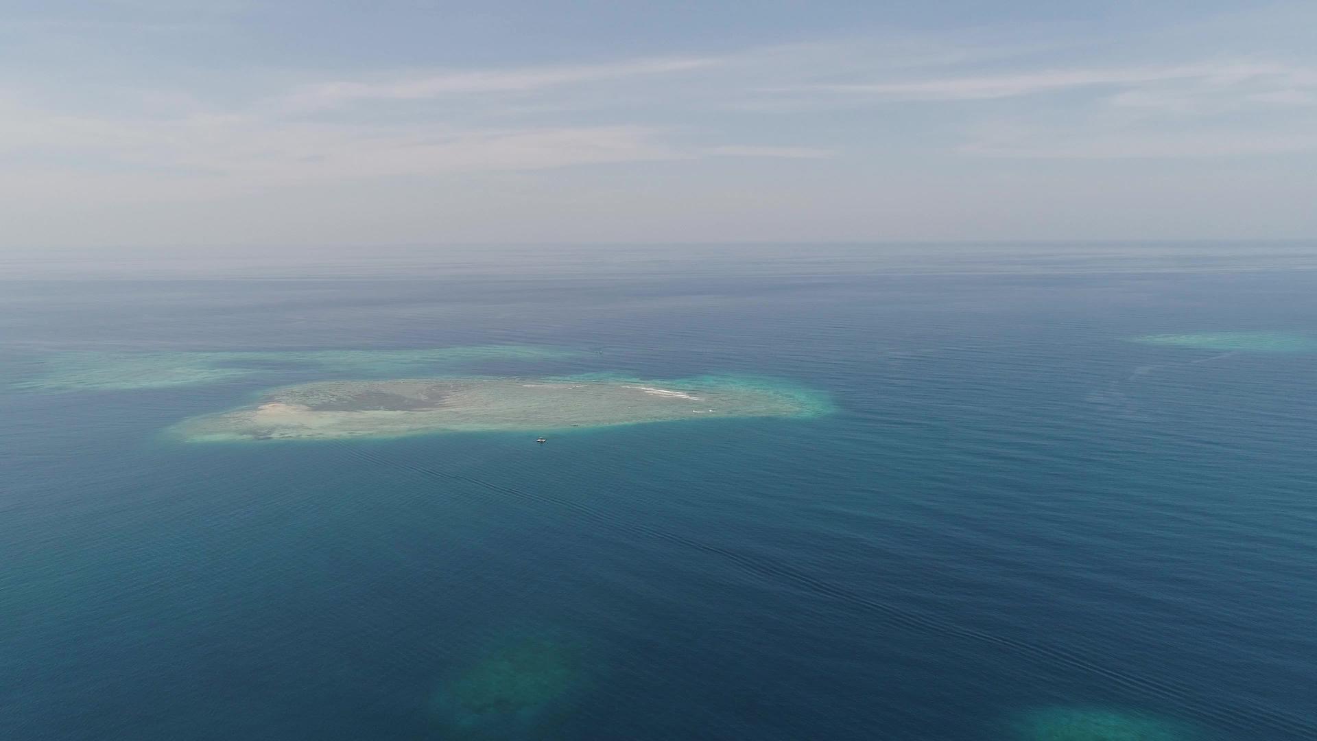 海洋珊瑚礁视频的预览图
