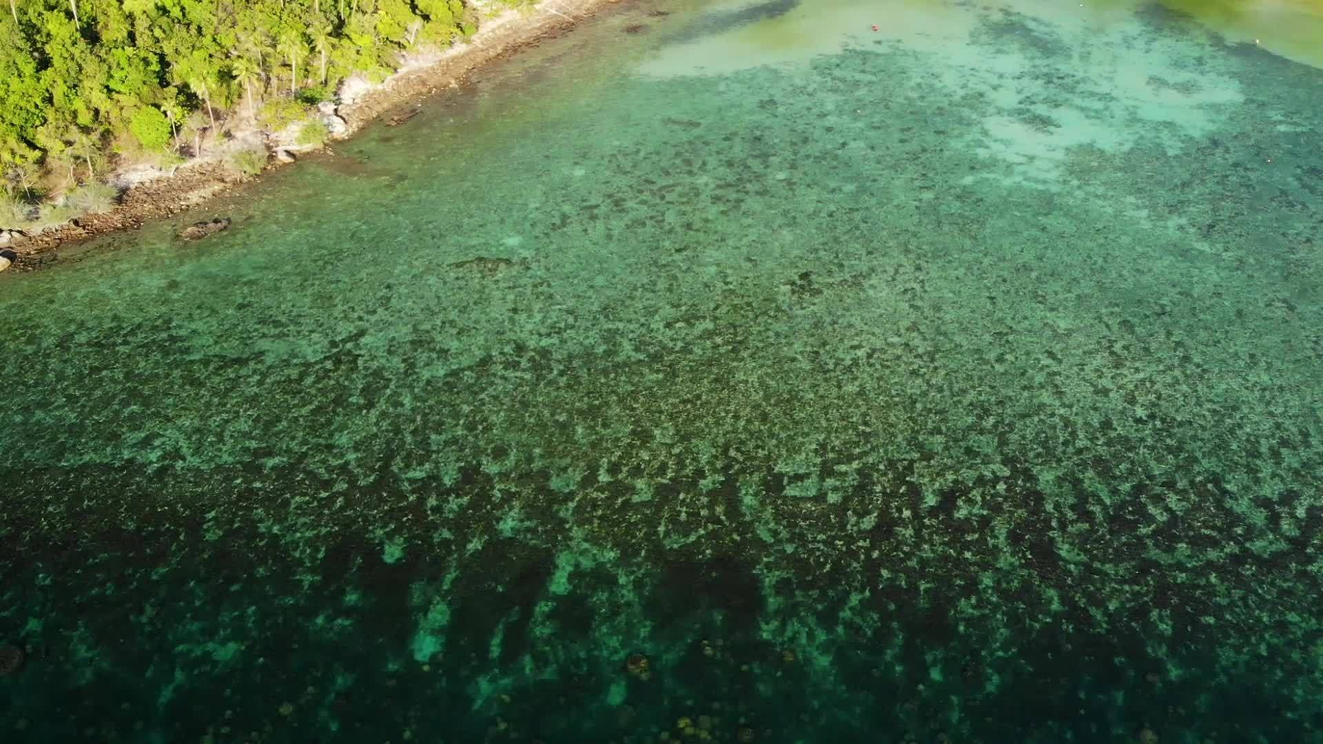 令人惊叹的珊瑚礁风景如画的无人机景观可以欣赏到热带视频的预览图