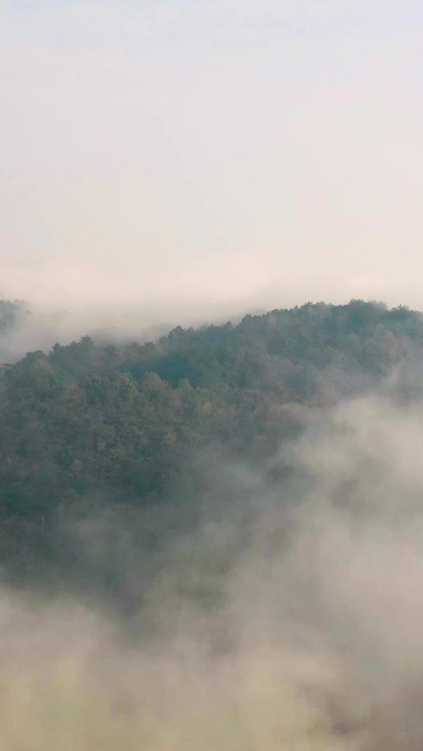 延时流动站在山顶看云视频的预览图