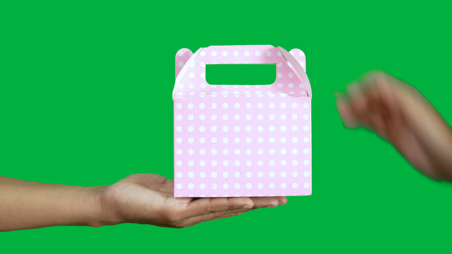 4k人们用手给人拿着染色体上的粉色圆点礼盒视频的预览图
