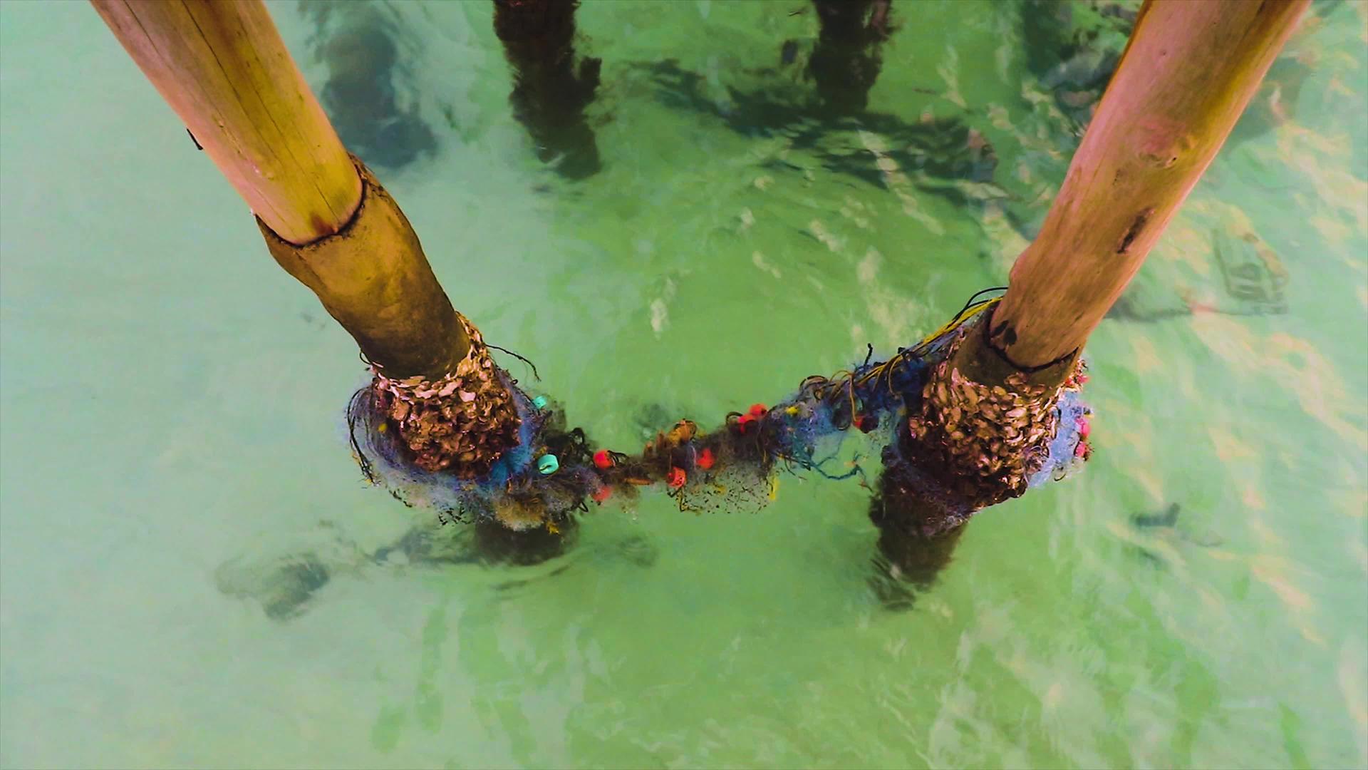 被遗弃的渔网缠在竹竿上视频的预览图