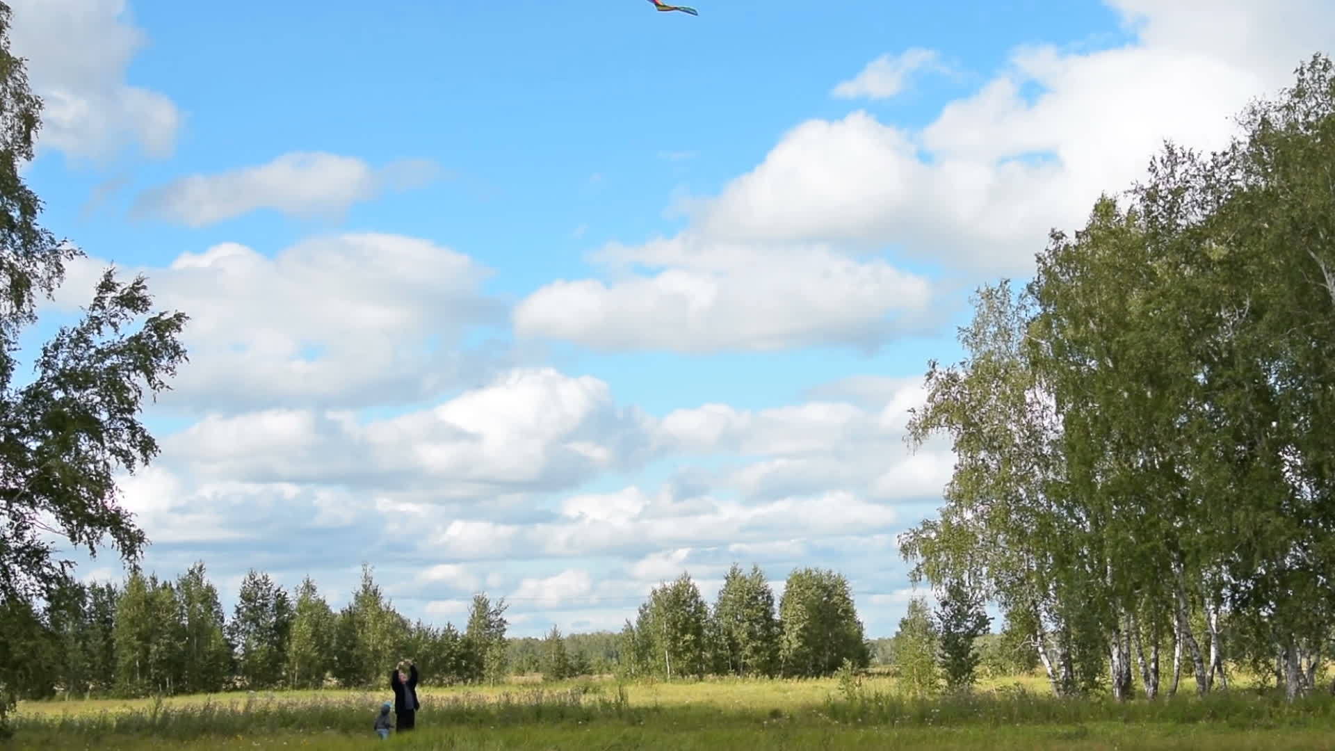 爷爷和孙子在乡下放风筝视频的预览图