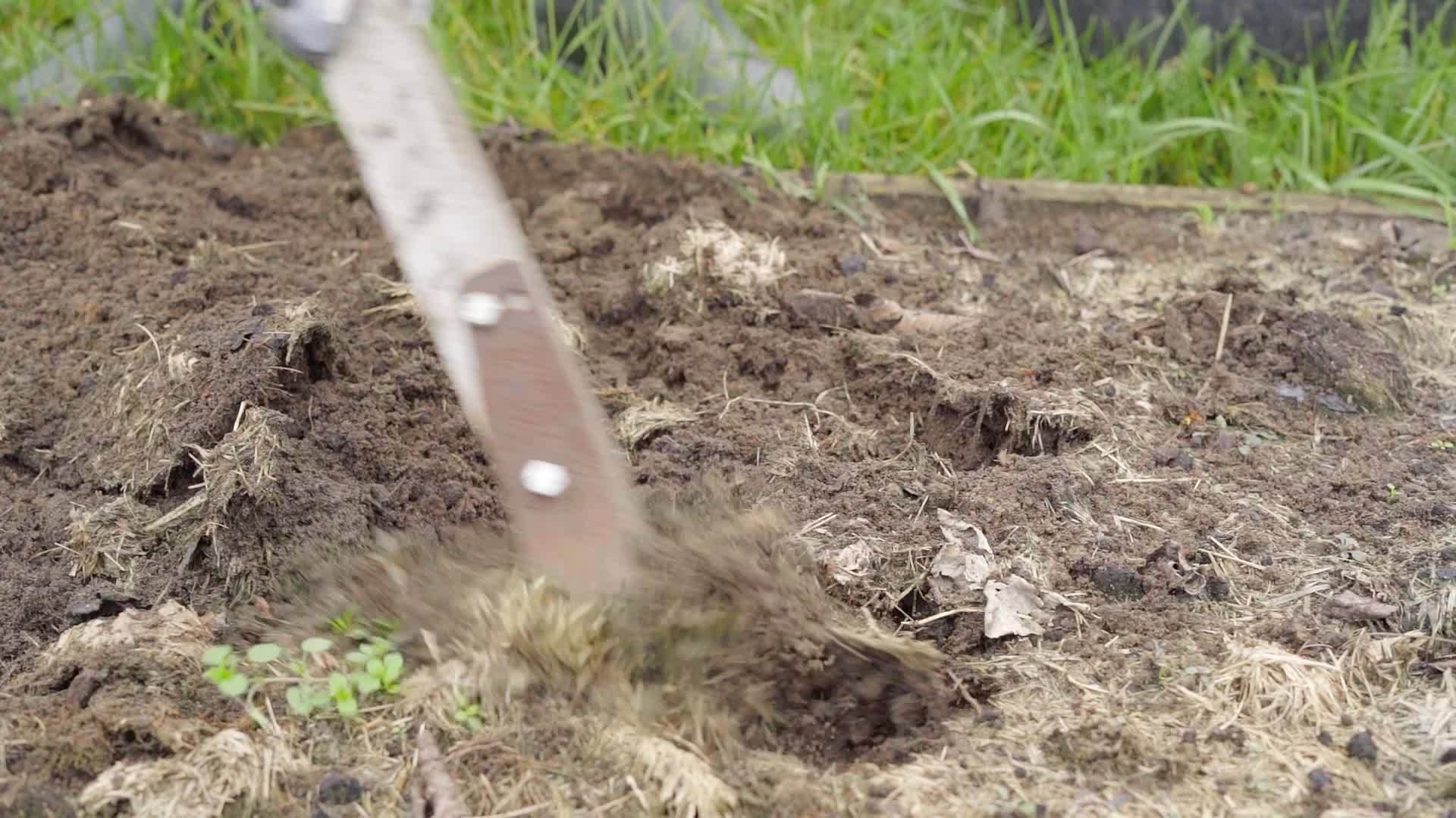 在干草床上种植土地用于冬季准备视频的预览图