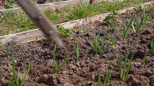 在春天用平刀种植土壤来照顾花园床视频的预览图