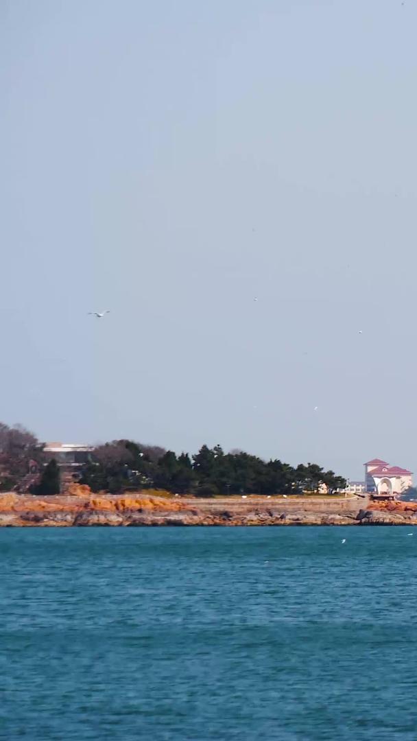 拍摄青岛小鱼山海岸线红瓦绿树景观视频的预览图