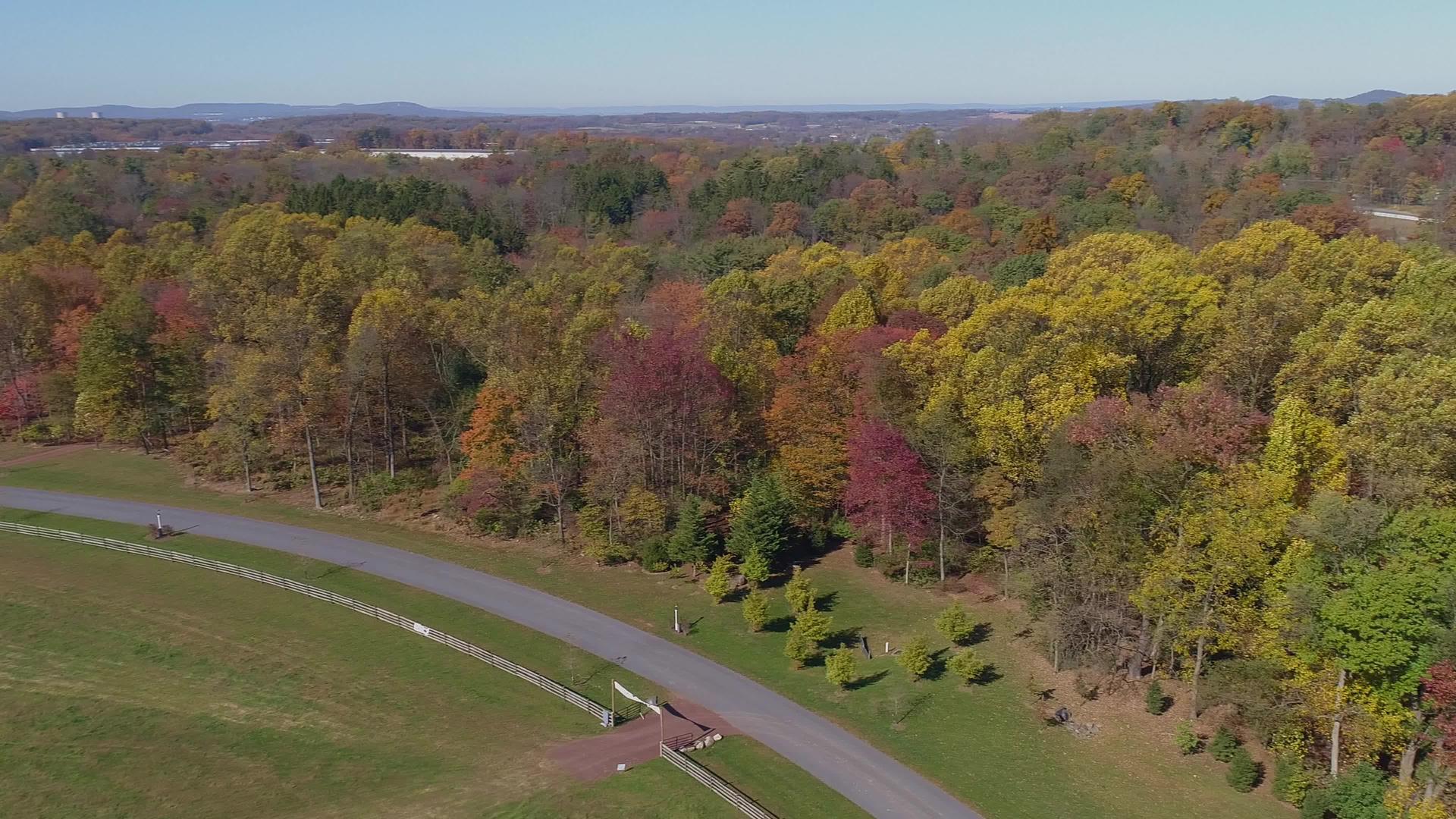 秋天的树叶和颜色在阳光明媚的秋天视频的预览图