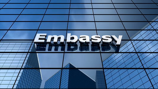 3d大使馆大楼视频的预览图