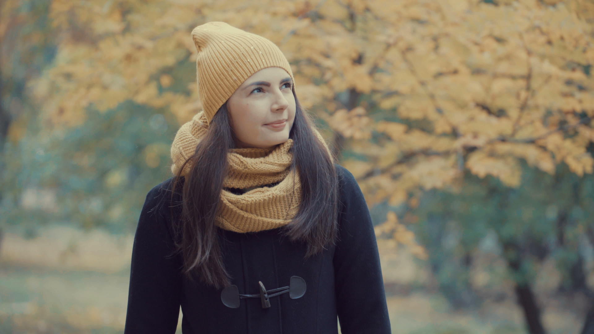 秋天公园里一个漂亮女孩的肖像年轻女子穿着外套和帽子视频的预览图