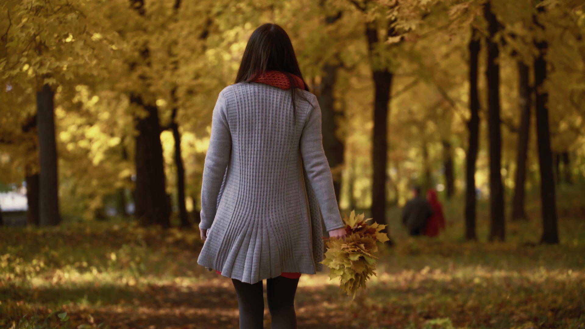 秋天女孩在公园里散步手里拿着树叶录像片被拍了下来视频的预览图