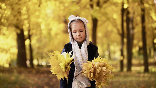 一个七岁的女孩在秋天走进公园手里拿着树叶拍摄的片段非常稳定视频的预览图