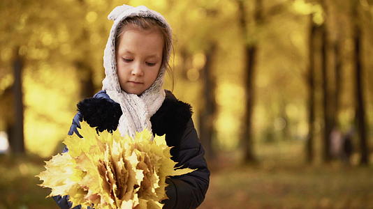 一个七岁的女孩在秋天走进公园手里拿着树叶拍摄的片段非常稳定视频的预览图